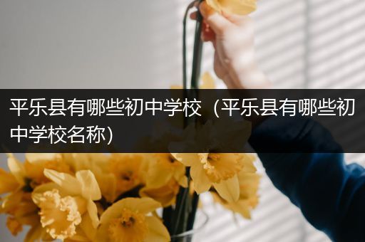 平乐县有哪些初中学校（平乐县有哪些初中学校名称）