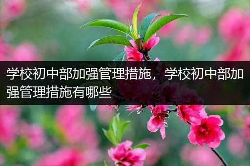 学校初中部加强管理措施，学校初中部加强管理措施有哪些