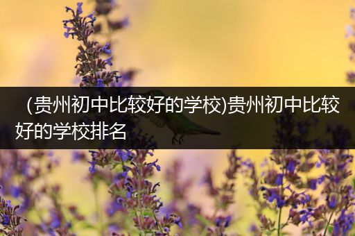 （贵州初中比较好的学校)贵州初中比较好的学校排名