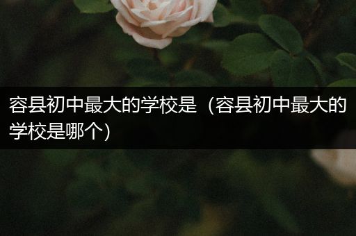 容县初中最大的学校是（容县初中最大的学校是哪个）