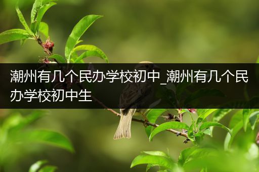 潮州有几个民办学校初中_潮州有几个民办学校初中生