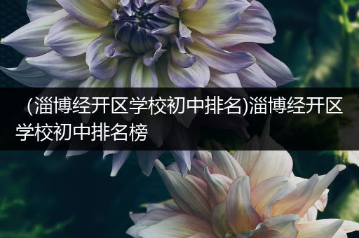 （淄博经开区学校初中排名)淄博经开区学校初中排名榜