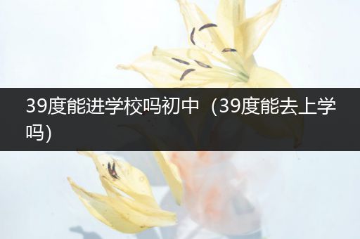 39度能进学校吗初中（39度能去上学吗）