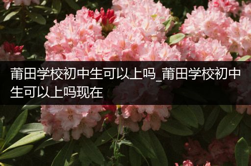 莆田学校初中生可以上吗_莆田学校初中生可以上吗现在