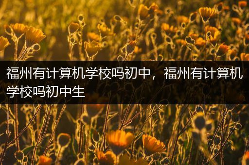 福州有计算机学校吗初中，福州有计算机学校吗初中生