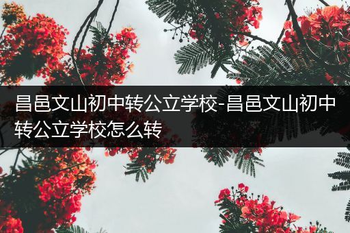 昌邑文山初中转公立学校-昌邑文山初中转公立学校怎么转