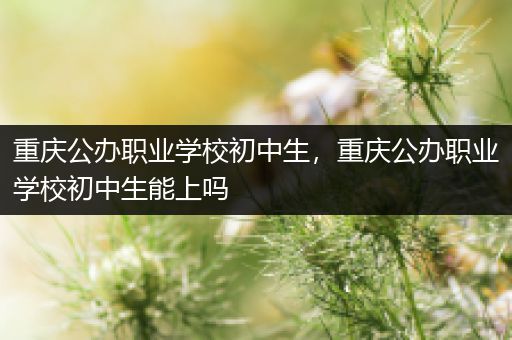 重庆公办职业学校初中生，重庆公办职业学校初中生能上吗