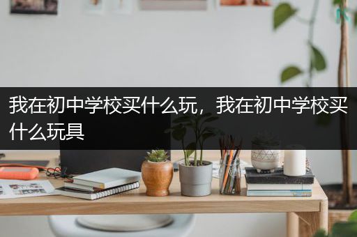 我在初中学校买什么玩，我在初中学校买什么玩具