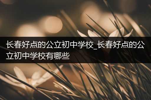 长春好点的公立初中学校_长春好点的公立初中学校有哪些