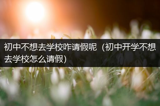 初中不想去学校咋请假呢（初中开学不想去学校怎么请假）