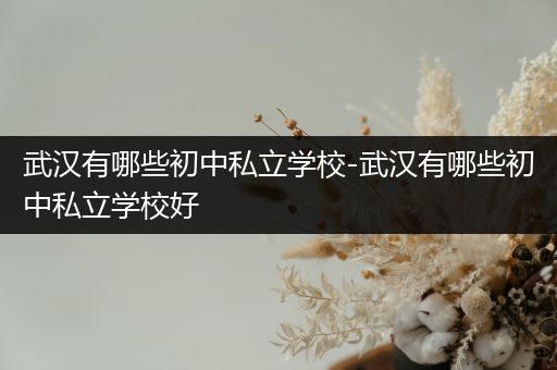 武汉有哪些初中私立学校-武汉有哪些初中私立学校好