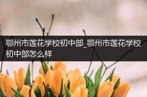 鄂州市莲花学校初中部_鄂州市莲花学校初中部怎么样