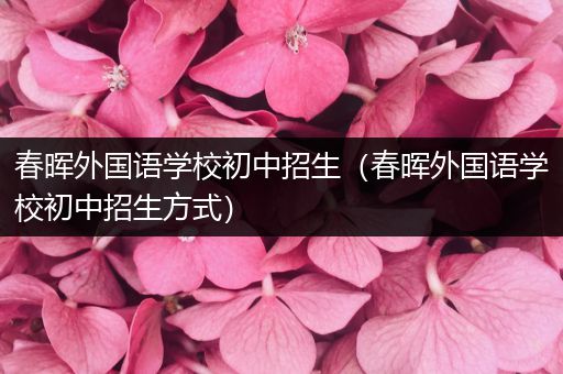 春晖外国语学校初中招生（春晖外国语学校初中招生方式）