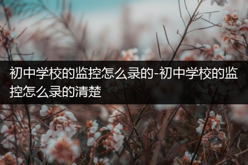 初中学校的监控怎么录的-初中学校的监控怎么录的清楚