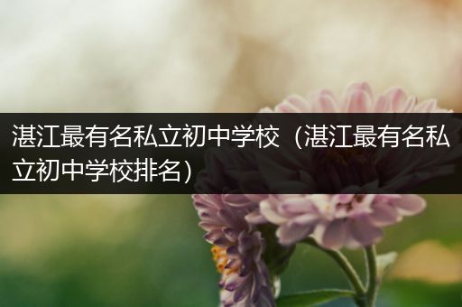 湛江最有名私立初中学校（湛江最有名私立初中学校排名）