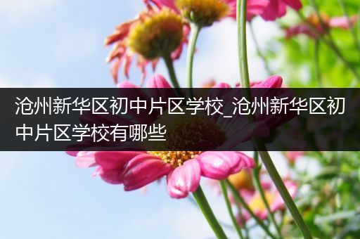 沧州新华区初中片区学校_沧州新华区初中片区学校有哪些