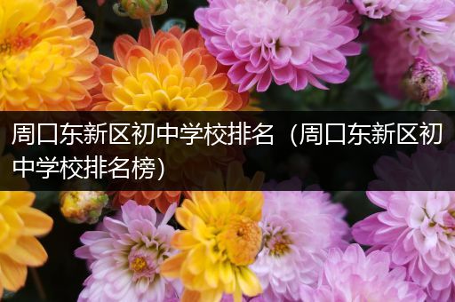 周口东新区初中学校排名（周口东新区初中学校排名榜）