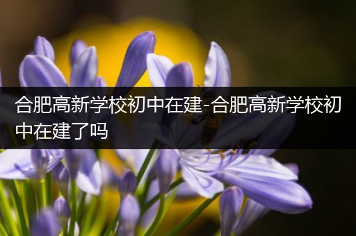 合肥高新学校初中在建-合肥高新学校初中在建了吗