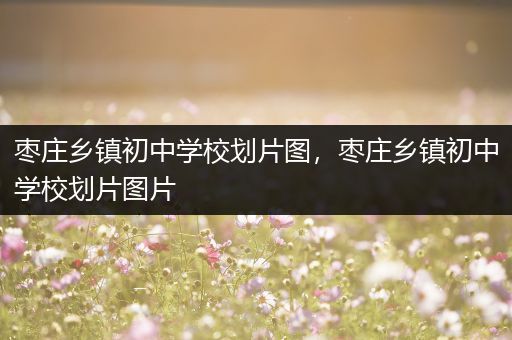 枣庄乡镇初中学校划片图，枣庄乡镇初中学校划片图片