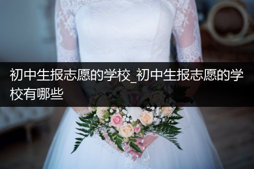 初中生报志愿的学校_初中生报志愿的学校有哪些