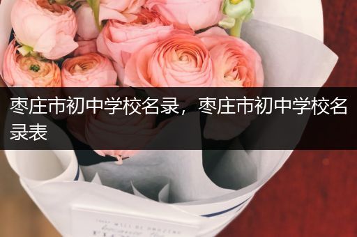 枣庄市初中学校名录，枣庄市初中学校名录表