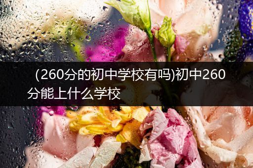 （260分的初中学校有吗)初中260分能上什么学校