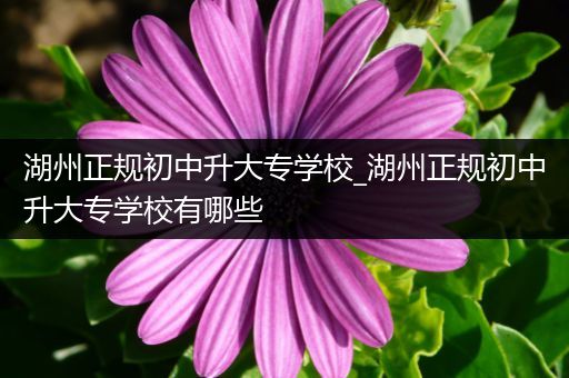 湖州正规初中升大专学校_湖州正规初中升大专学校有哪些