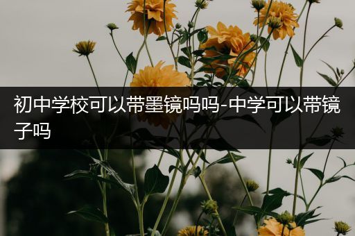 初中学校可以带墨镜吗吗-中学可以带镜子吗