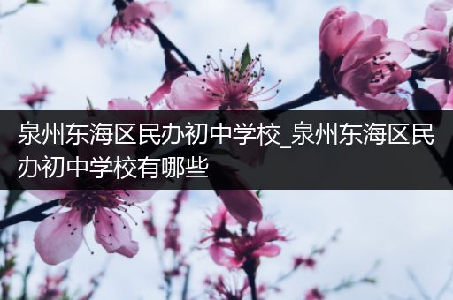 泉州东海区民办初中学校_泉州东海区民办初中学校有哪些