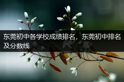 东莞初中各学校成绩排名，东莞初中排名及分数线