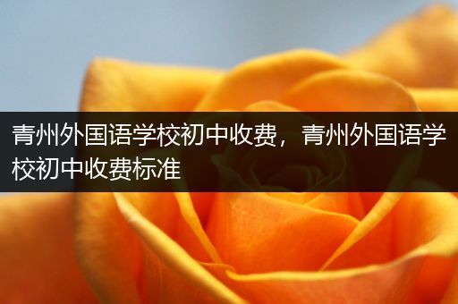 青州外国语学校初中收费，青州外国语学校初中收费标准