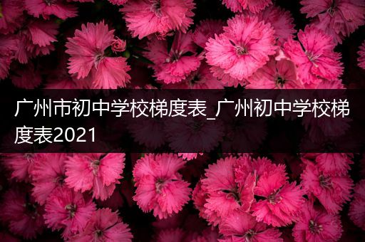 广州市初中学校梯度表_广州初中学校梯度表2021