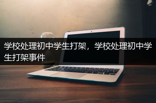 学校处理初中学生打架，学校处理初中学生打架事件