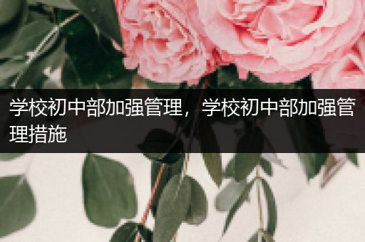 学校初中部加强管理，学校初中部加强管理措施