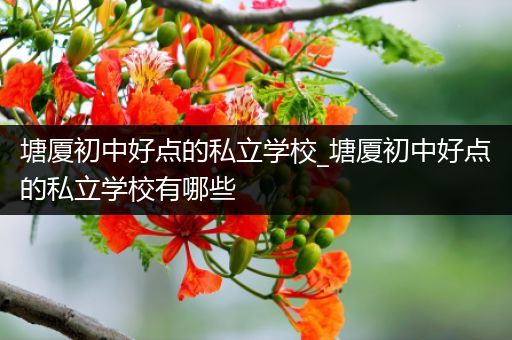 塘厦初中好点的私立学校_塘厦初中好点的私立学校有哪些