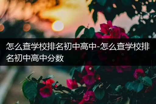 怎么查学校排名初中高中-怎么查学校排名初中高中分数