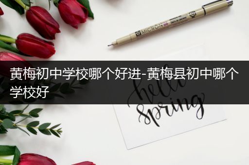 黄梅初中学校哪个好进-黄梅县初中哪个学校好