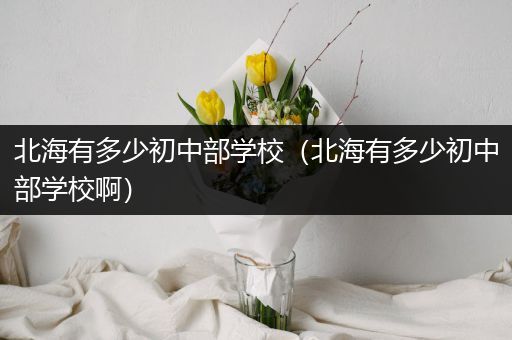 北海有多少初中部学校（北海有多少初中部学校啊）