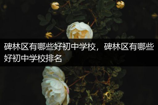 碑林区有哪些好初中学校，碑林区有哪些好初中学校排名