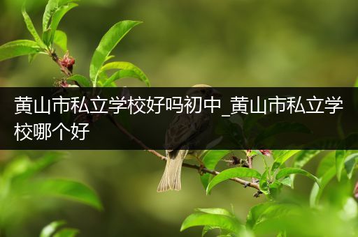 黄山市私立学校好吗初中_黄山市私立学校哪个好