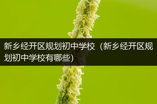 新乡经开区规划初中学校（新乡经开区规划初中学校有哪些）