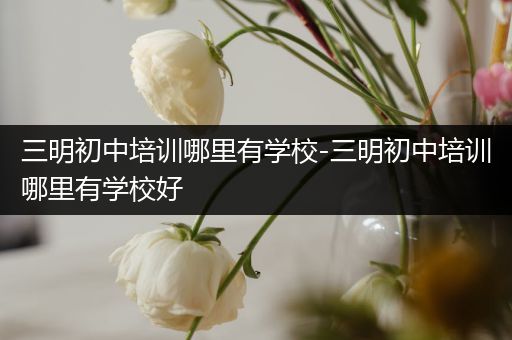 三明初中培训哪里有学校-三明初中培训哪里有学校好