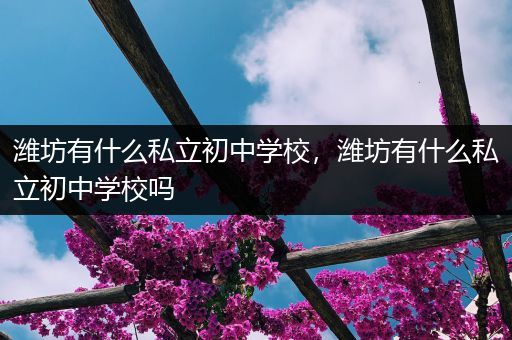 潍坊有什么私立初中学校，潍坊有什么私立初中学校吗