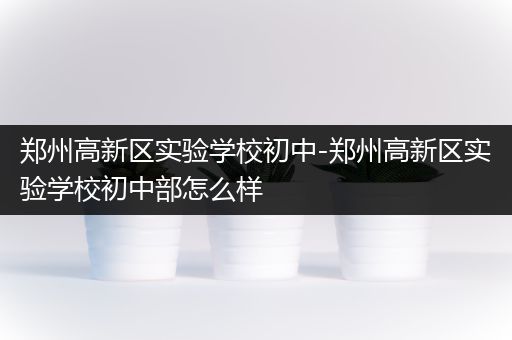 郑州高新区实验学校初中-郑州高新区实验学校初中部怎么样