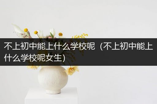 不上初中能上什么学校呢（不上初中能上什么学校呢女生）