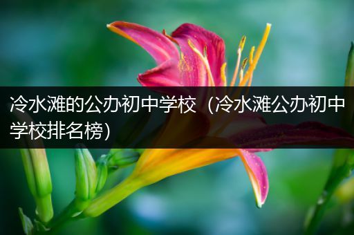 冷水滩的公办初中学校（冷水滩公办初中学校排名榜）