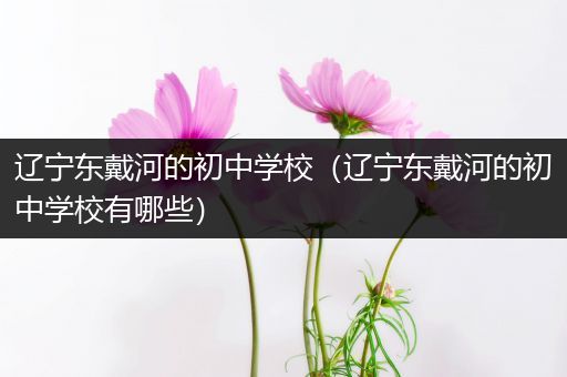 辽宁东戴河的初中学校（辽宁东戴河的初中学校有哪些）