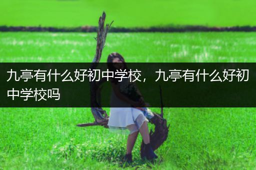 九亭有什么好初中学校，九亭有什么好初中学校吗