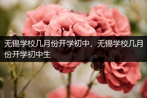 无锡学校几月份开学初中，无锡学校几月份开学初中生