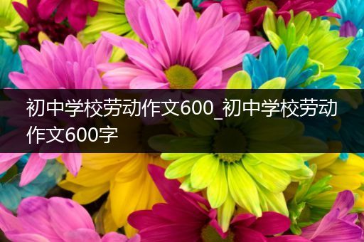 初中学校劳动作文600_初中学校劳动作文600字